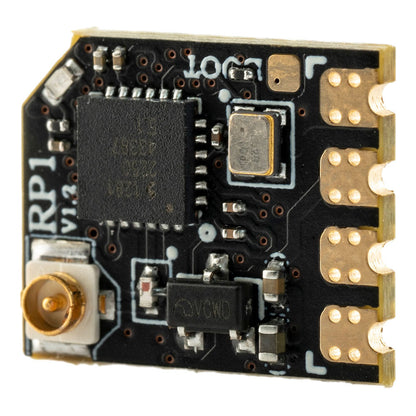 https://cdn.shopify.com/s/files/1/0701/8066/7584/files/RP1-V2-7.jpg?v=1750061953